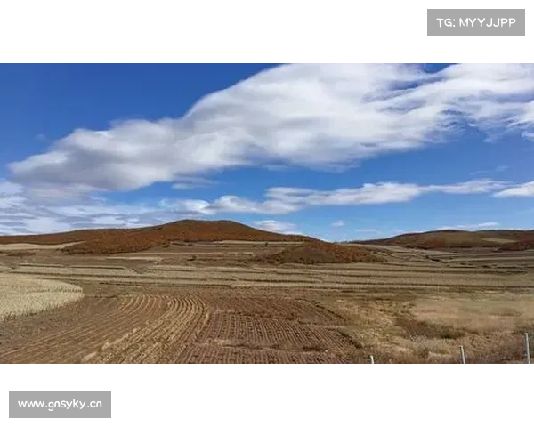 秋色战役制胜攻略:逐鹿金秋,决胜千里 秋色战役制胜攻略:逐鹿金秋,决胜千里