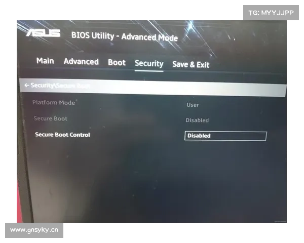 飞行堡垒:中文为中心的BIOS修改之道 飞行堡垒:中文为中心的BIOS修改之道