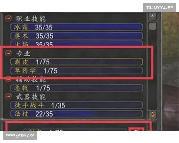 魔兽世界怀旧服：射击技能主宰战场